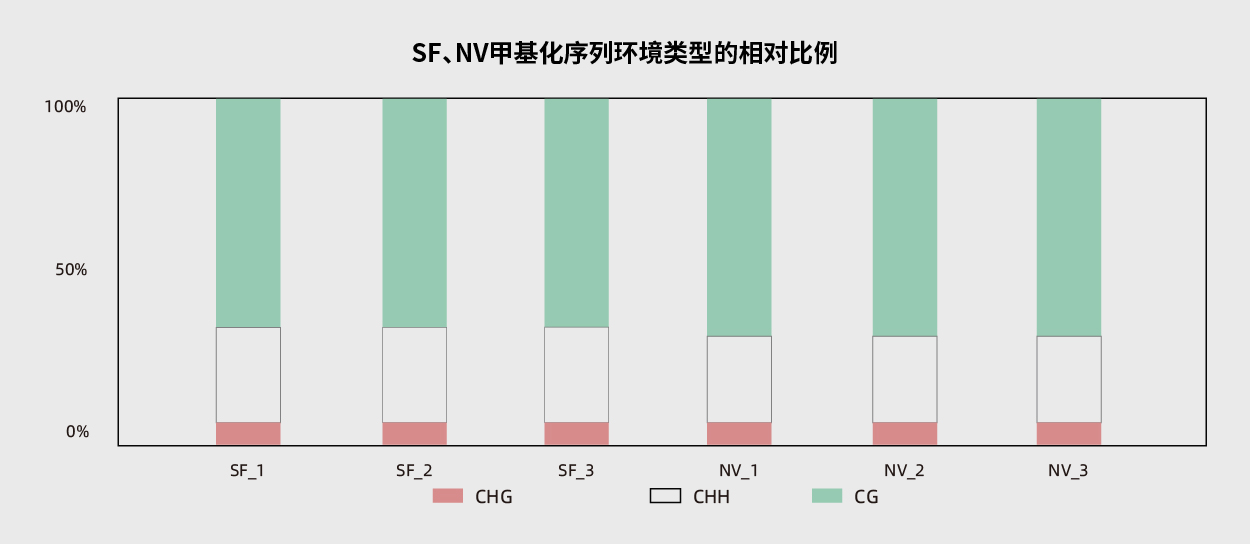 肿瘤基因检测