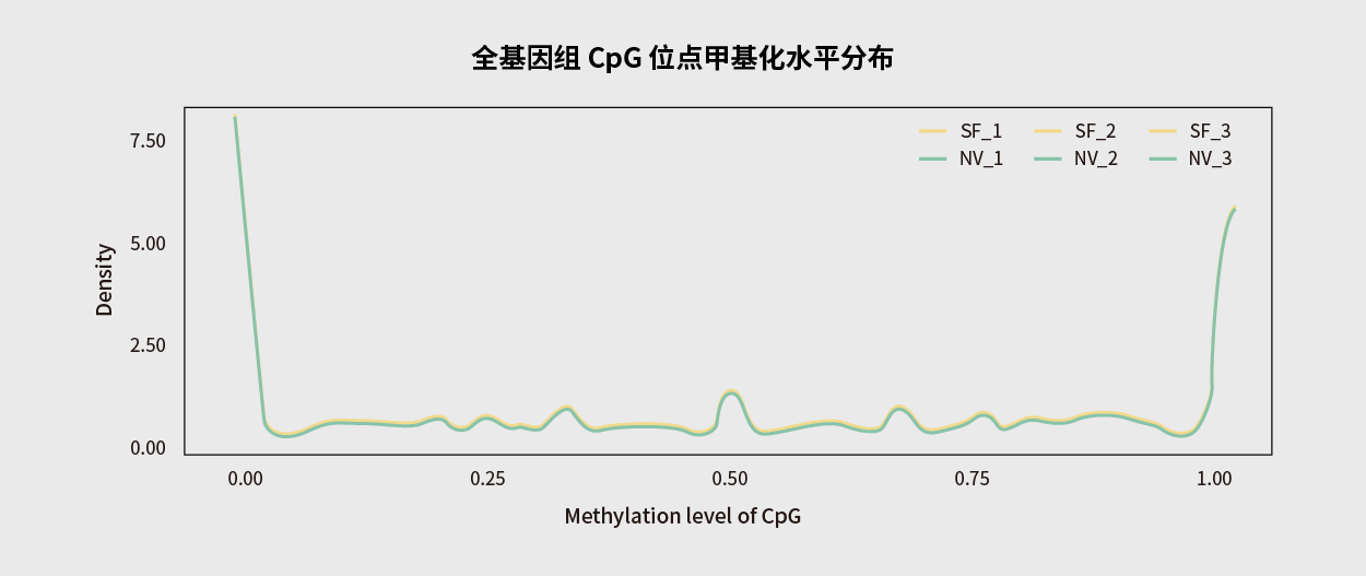 肿瘤基因检测