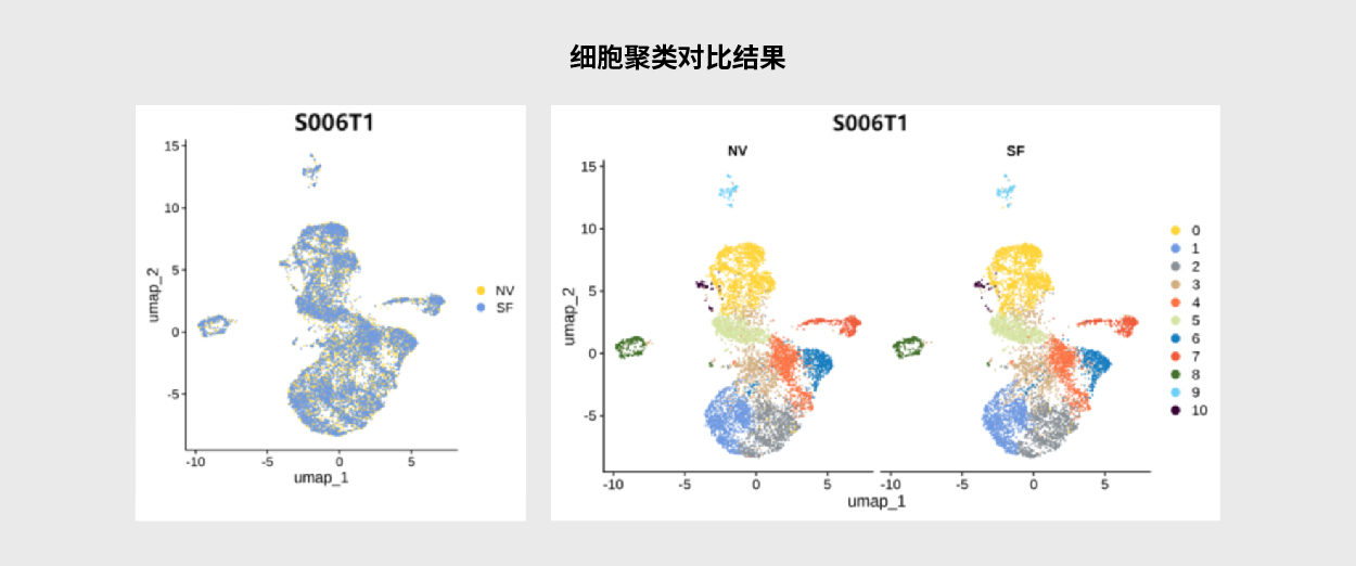 单细胞与空间组學(xué)