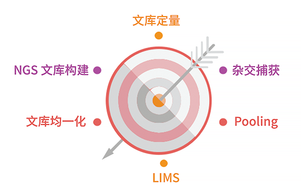 MrLH-96全自动样本处理(lǐ)系统