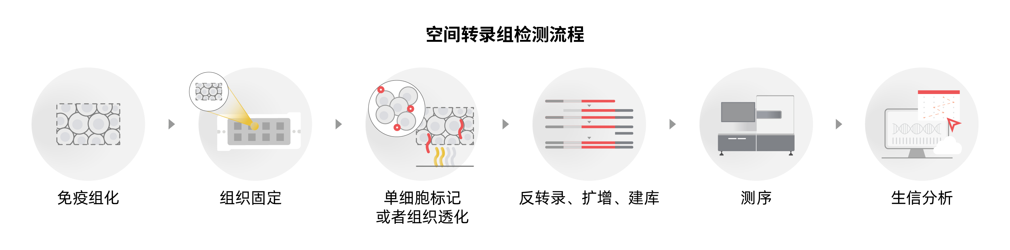 单细胞与空间组學(xué)